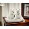 Ceramic Westie Dog Salt and Pepper Shakers, Home Decor Ornament for Kitchen